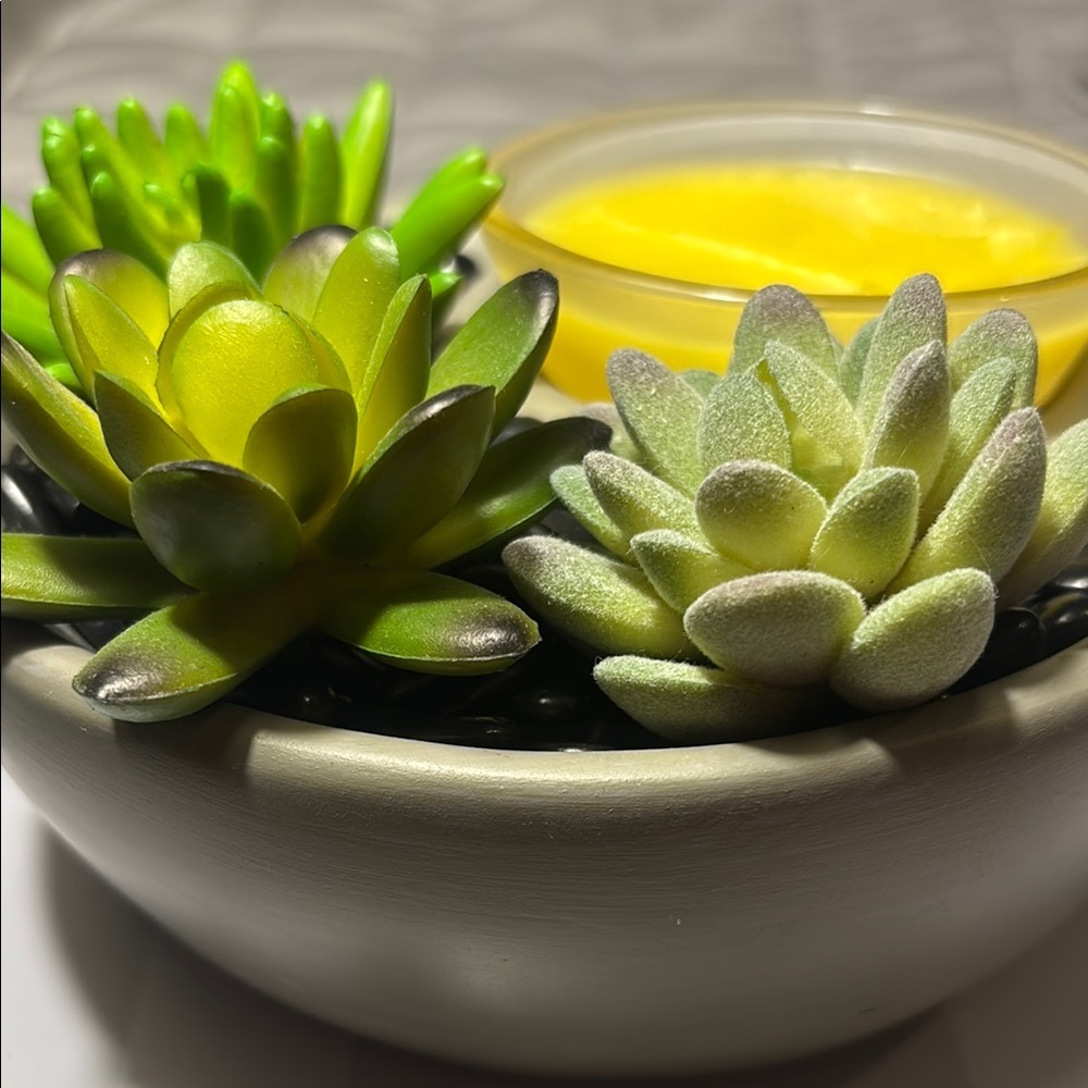 Scentsy Little Garden Warmer with Faux Succulent Accents - Picture 8 of 8